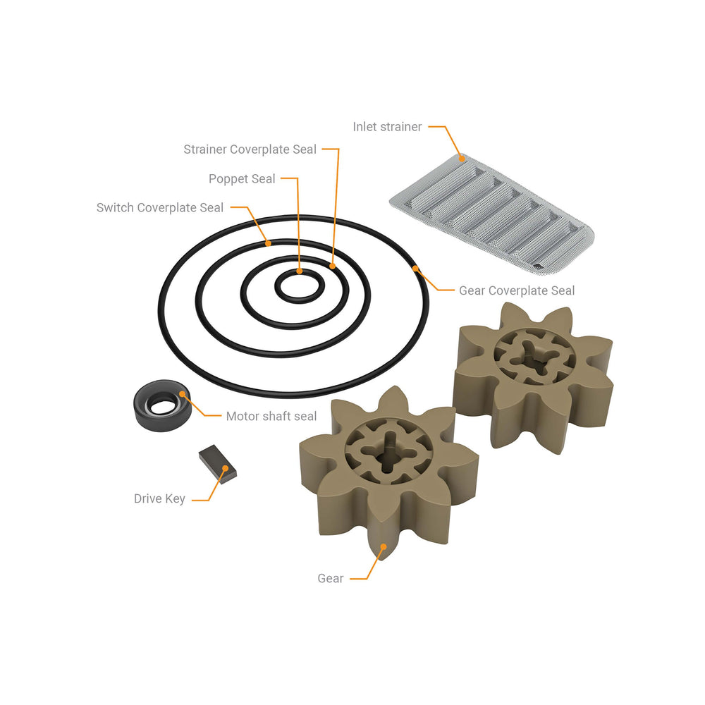 GPI Rebuild Kit for M-150S, M-180S, M-240S and M-1115S Pumps (110504-1) - view 2