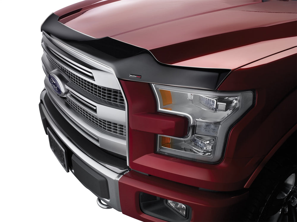 Low Profile Aerodynamic Hood Protector - 55208