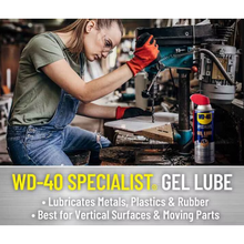 WD-40 Specialist Gel Lube No-Drip 10 oz (300103)