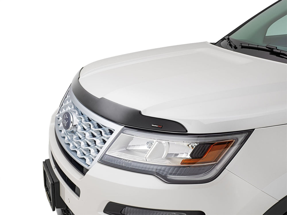 Low Profile Aerodynamic Hood Protector - 55108