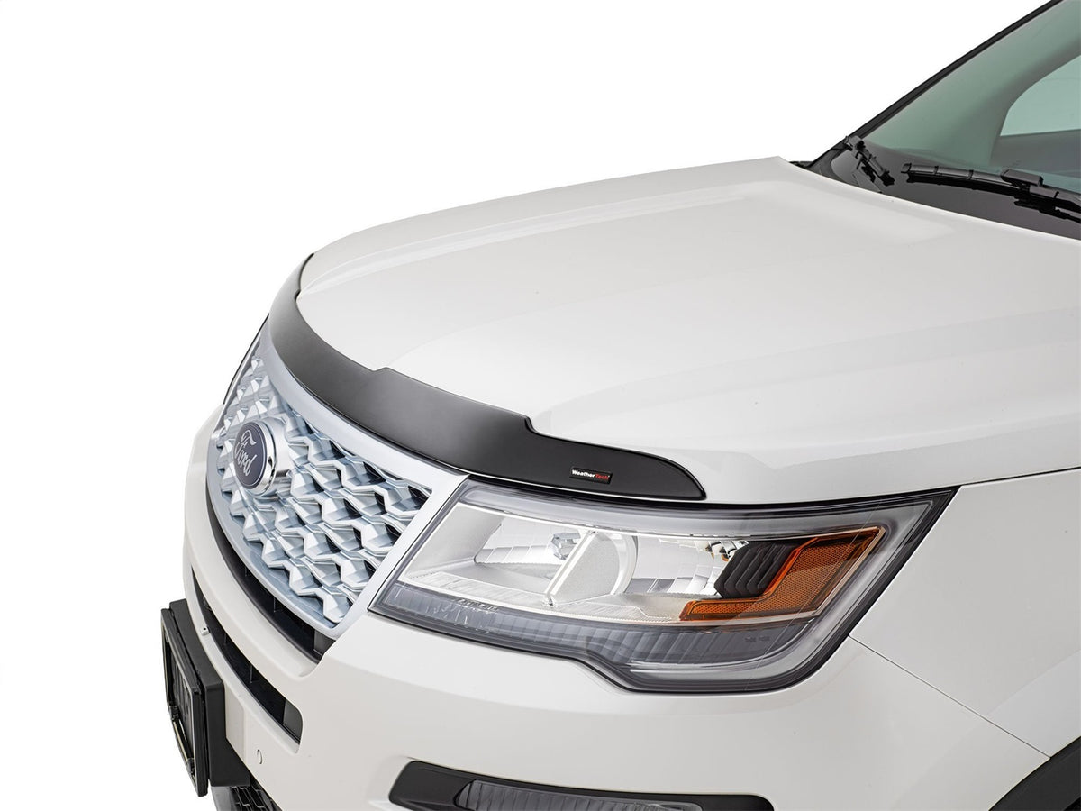 Low Profile Aerodynamic Hood Protector - 55108