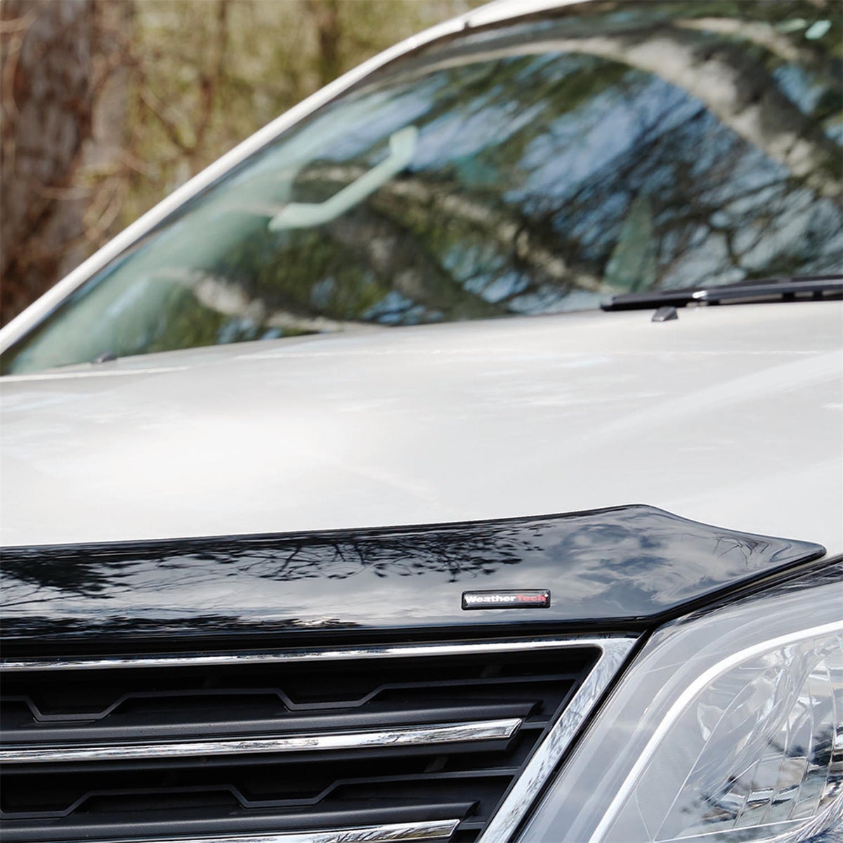 Low Profile Aerodynamic Hood Protector - 55235
