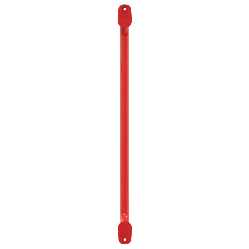 Weather Guard 9895-7-01 Large Van Grab Handle, 26.2 in