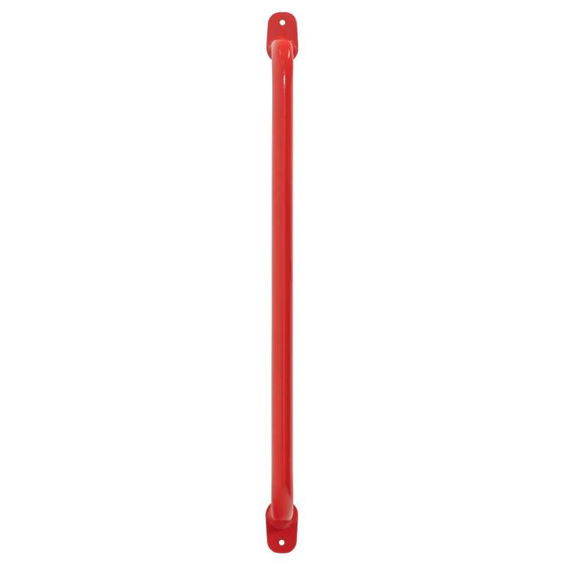 Weather Guard 9895-7-01 Large Van Grab Handle, 26.2 in