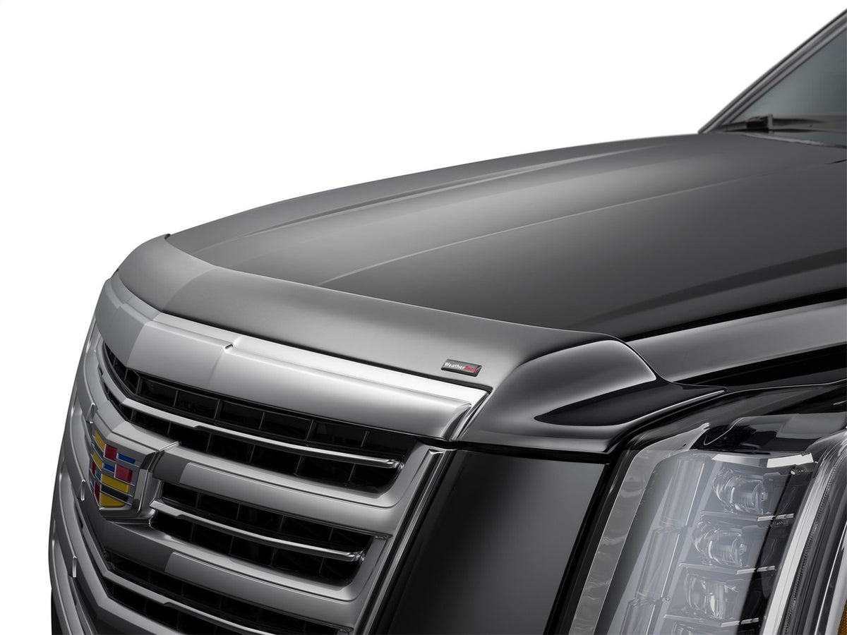 Low Profile Aerodynamic Hood Protector - 55264