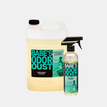 BABE'S Odor Oust - Gallon