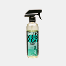 BABE'S Odor Oust - Pint