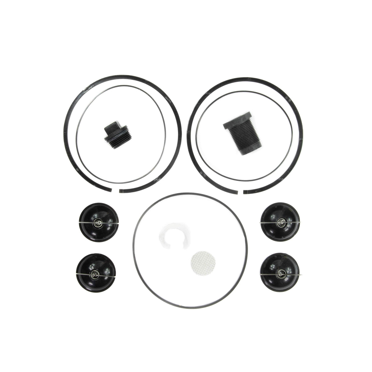 Fill-Rite 5200KTF1828 Rebuild Kit for 5200 Series Piston Hand Pumps