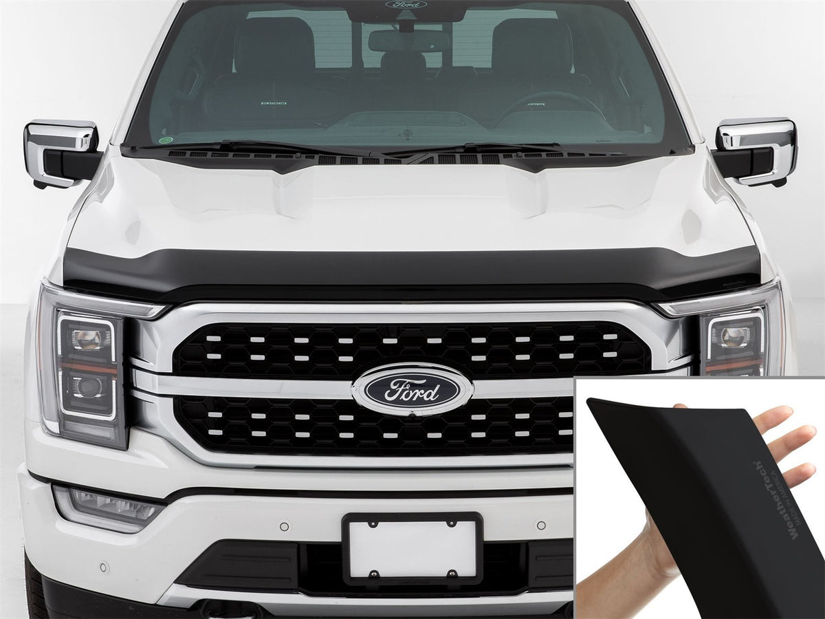 Low Profile Aerodynamic Hood Protector - 55194IMB