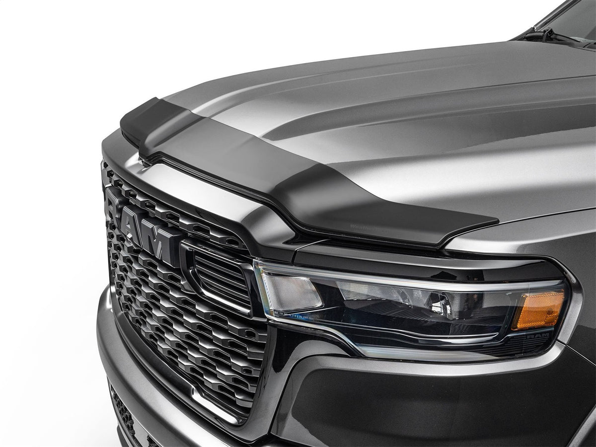Low Profile Aerodynamic Hood Protector - 55176IMB